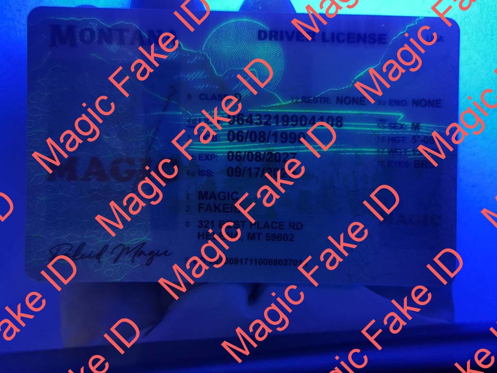 Montana Driver License - Image 3
