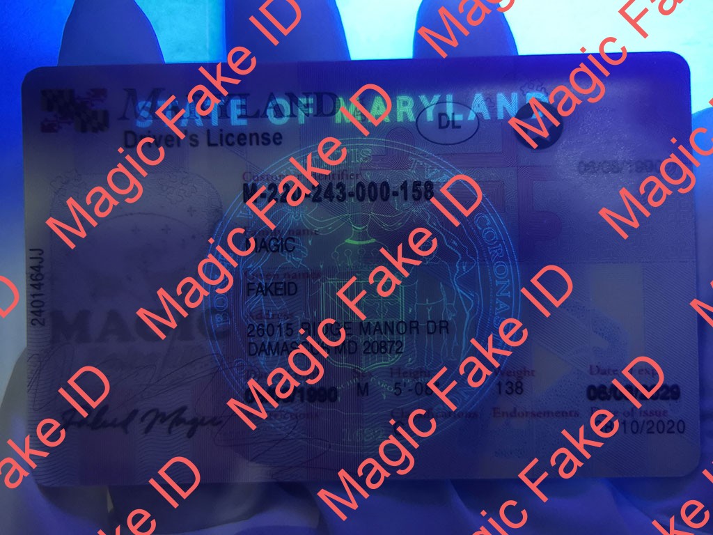 New Maryland Driver License - Image 3