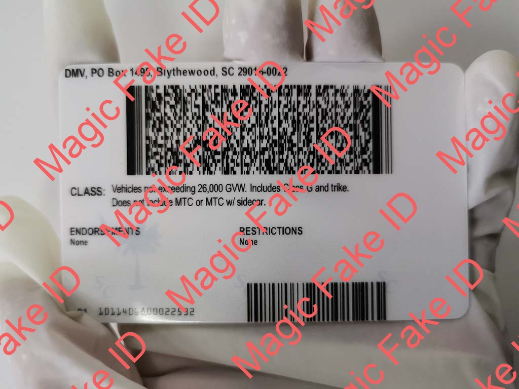 New South Carolina Driver License - Image 3