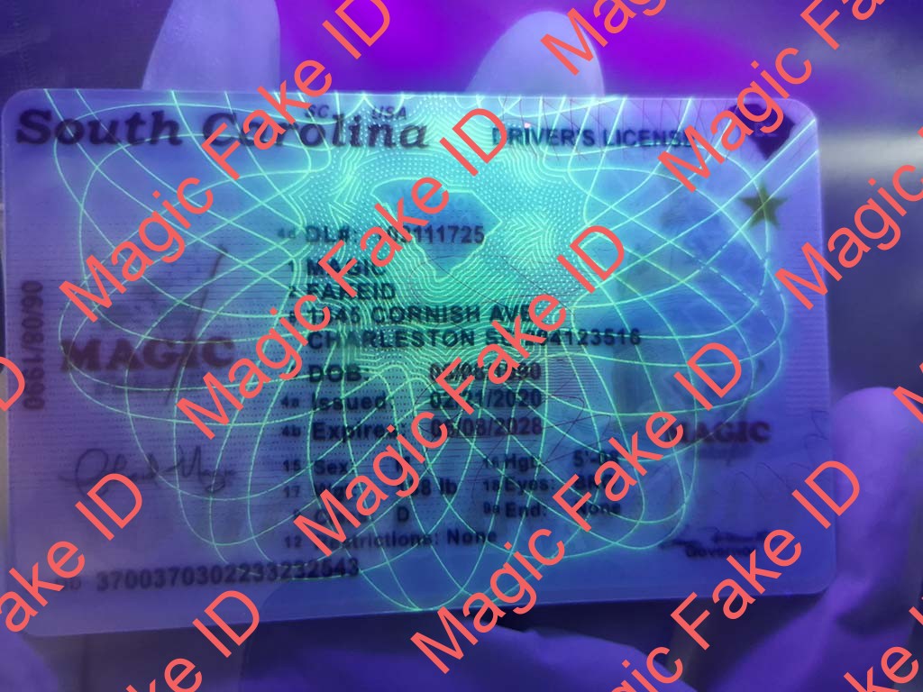 New South Carolina Driver License - Image 2
