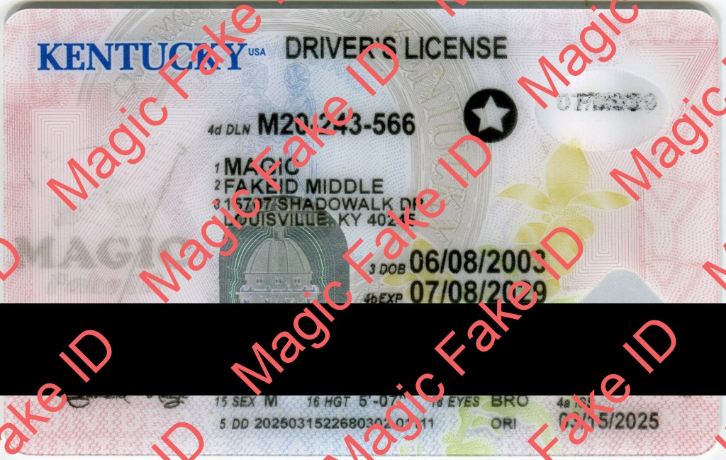 Kentucky Driver License 2024 Polycarbonate - Magic Fake IDs